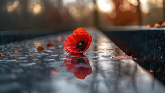 Lest We Forget: Honoring the Spirit of Anzac Day