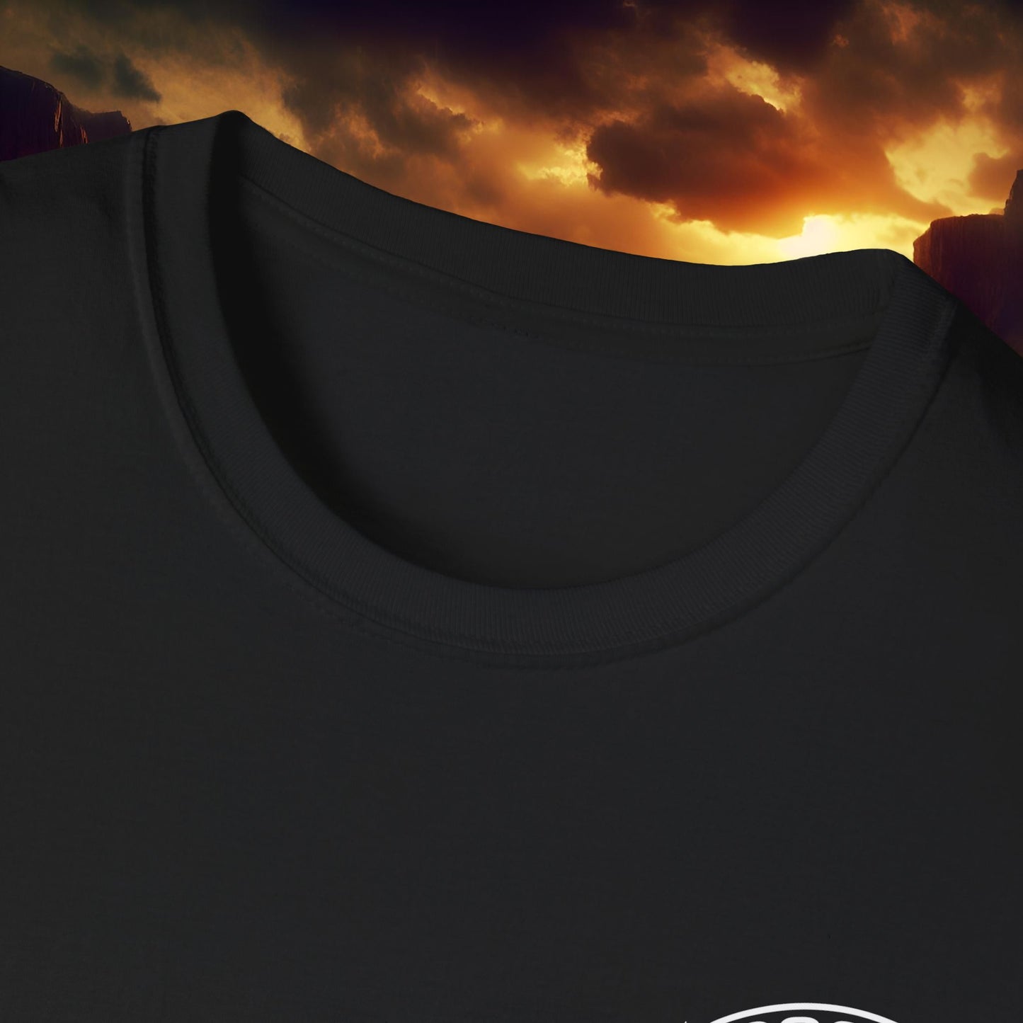 Bogan Customs 1 Unisex Softstyle T-Shirt