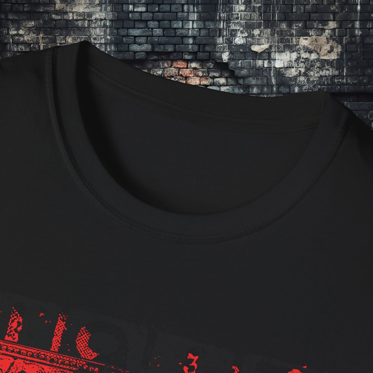 RC Streetwear Skull 11 Unisex Softstyle T-Shirt