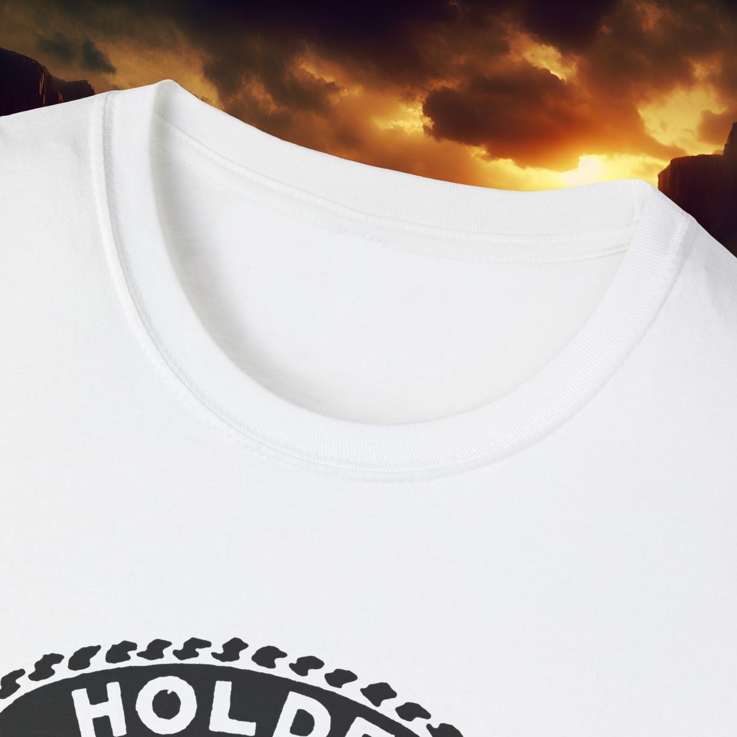 Vintage Holden Graphic T-Shirt, Classic Car Lover Tee, Unisex Softstyle Shirt, Gift for Mechanic, Retro Auto Apparel