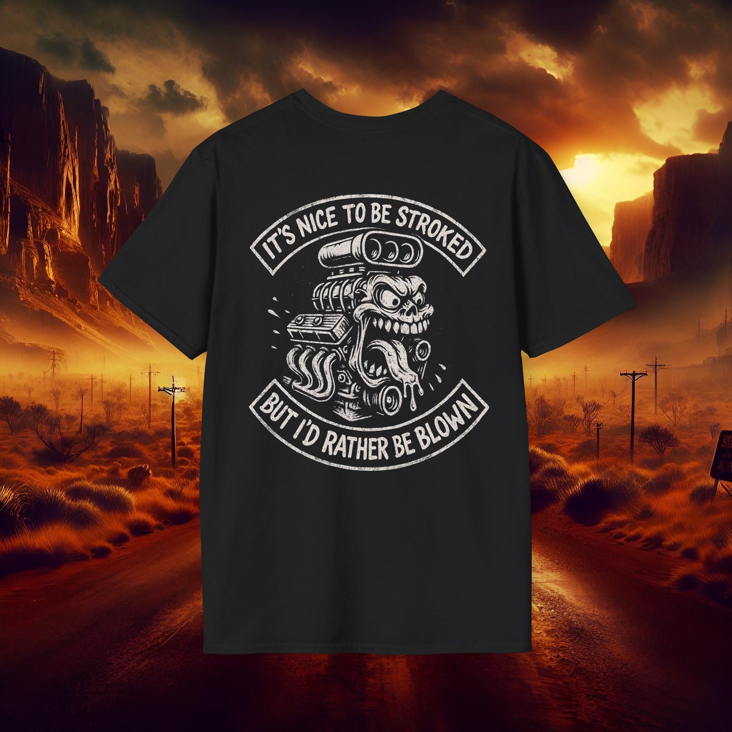 It's Nice to be Stroked T-Shirt | Unisex Softstyle Tee