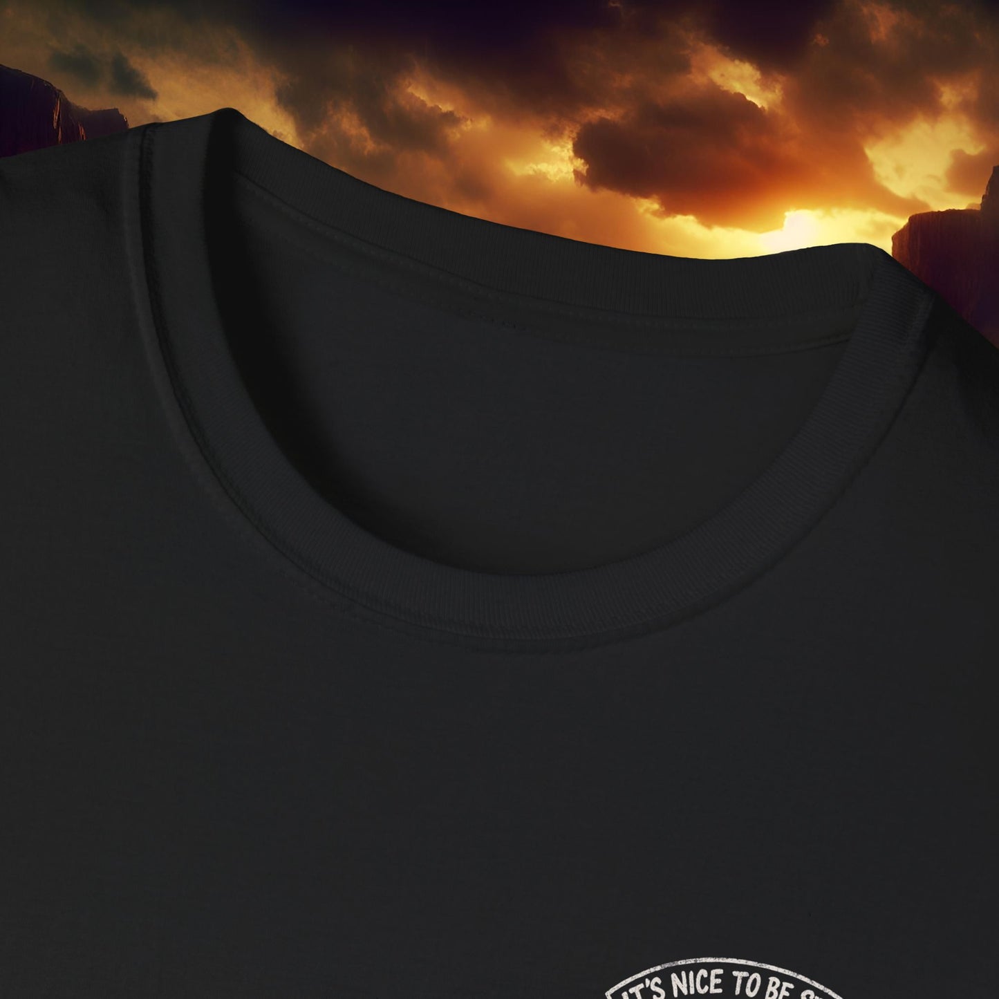 It's Nice to be Stroked T-Shirt | Unisex Softstyle Tee