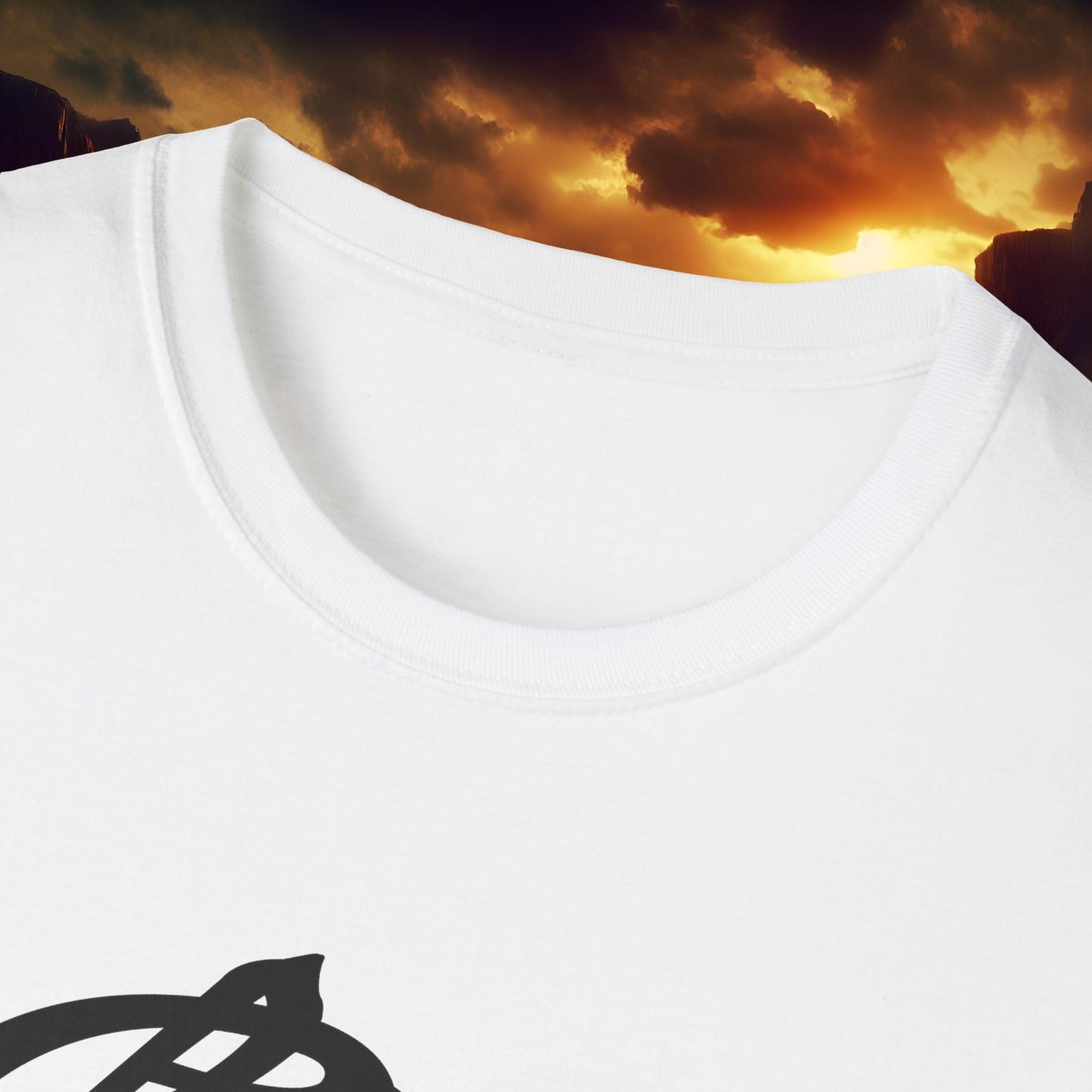 Vintage Chevrolet Graphic T-Shirt, Classic Car Lover Tee, Unisex Softstyle Shirt, Gift for Mechanic, Retro Auto Apparel